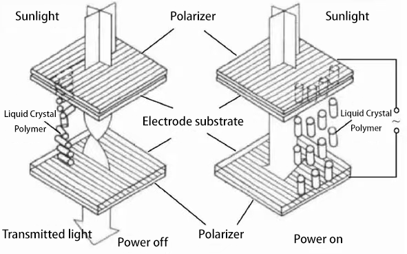 TN 屏的基本原理 TN 屏的基本原理