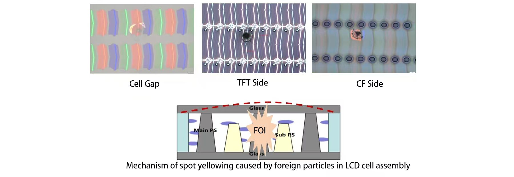 LCD cell 点状异物导致发黄机理 LCD cell 点状异物导致发黄机理