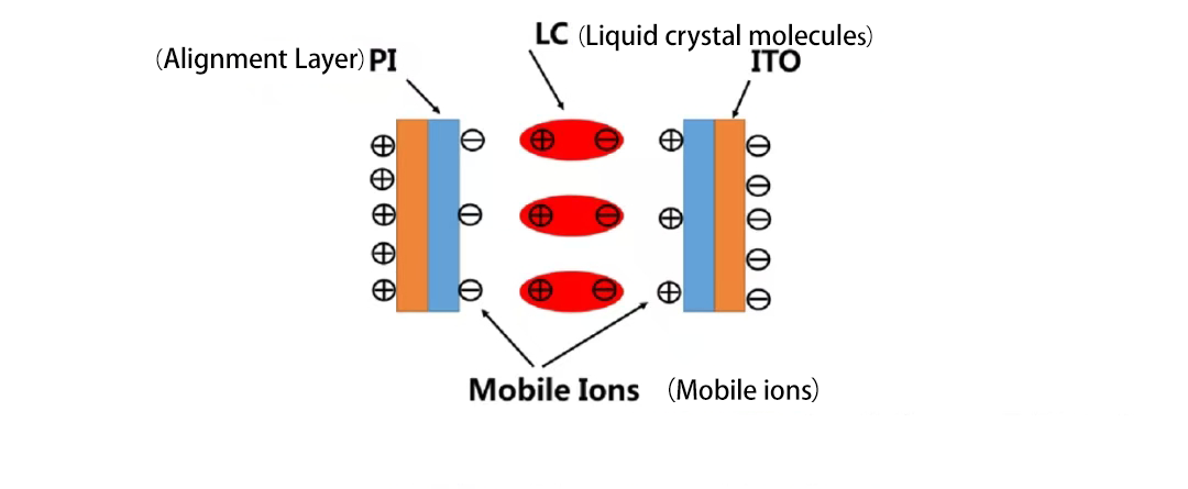 配向膜盒离子聚集 配向膜盒离子聚集
