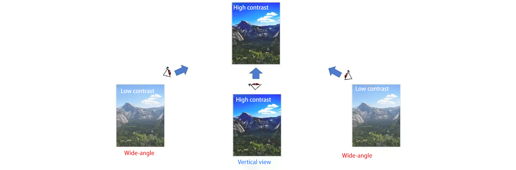 对比度视角 对比度视角