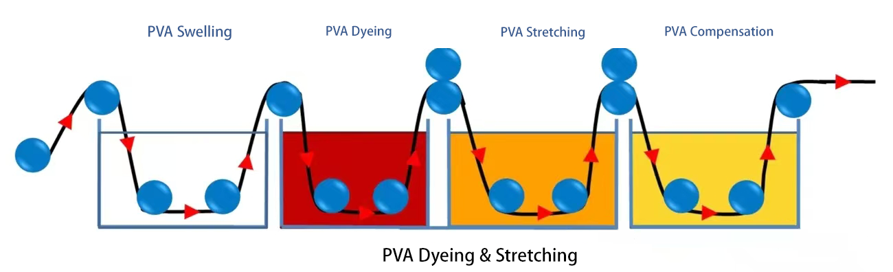 PVA染色延伸过程